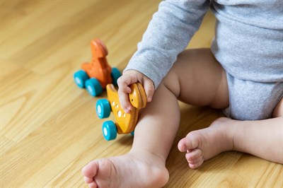 Plantoys Dino Car - Diplo