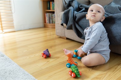 Plantoys Dino Car - Rex