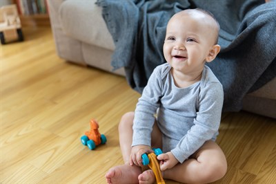 Plantoys Dino Car - Rex