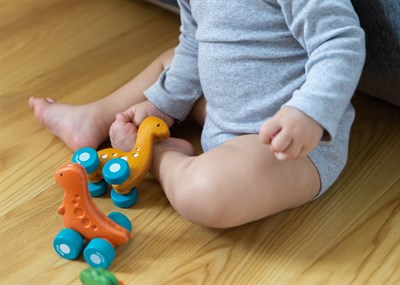 Plantoys Dino Car - Rex