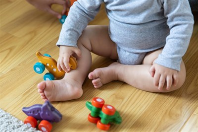 Plantoys Dino Car - Rex