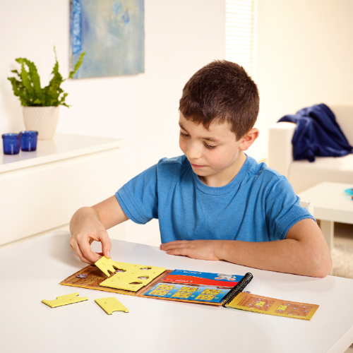 Smart Games Mantık oyunu / Brain Cheeser