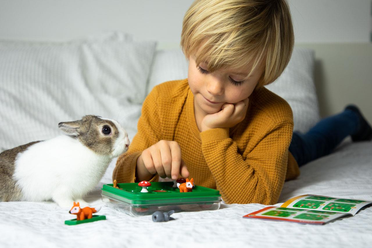 Smart Games Mantık oyunu / Jump In