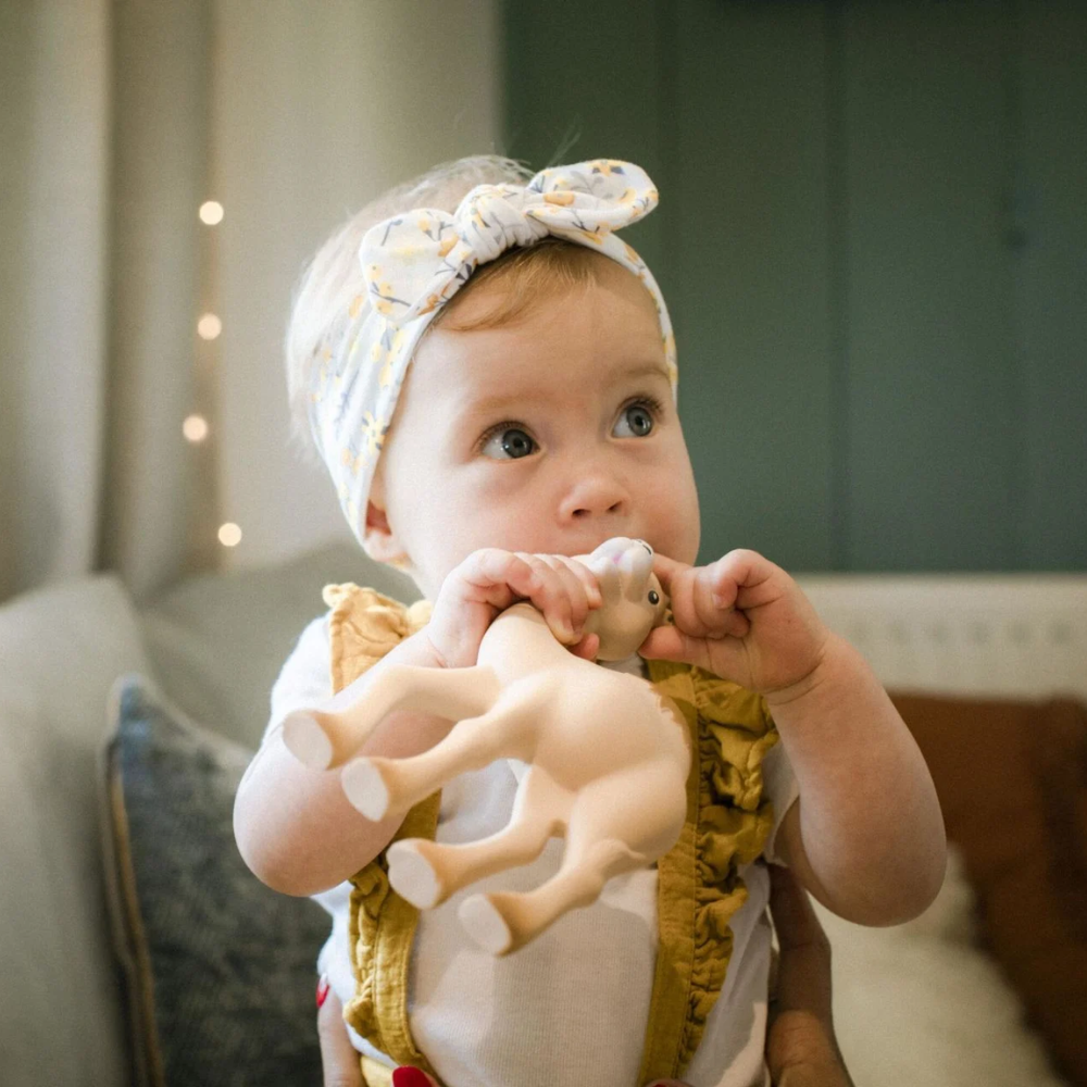 Sophie la Girafe Al'Thir Diş Kaşıyıcı