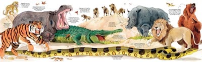 Usborne Big Book of Animals
