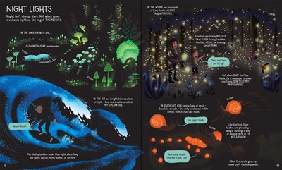 Usborne Book of Night Time