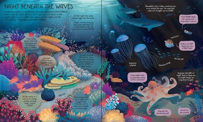 Usborne Book of Night Time