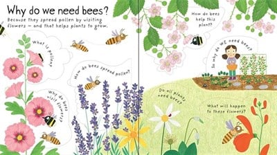 Usborne Lift-the-Flap First Questions and Answers Why do we need bees?