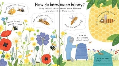 Usborne Lift-the-Flap First Questions and Answers Why do we need bees?