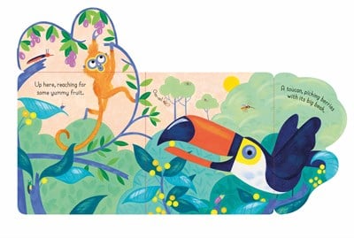 Usborne Little Lift and Look Jungle