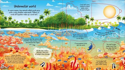 Usborne Look inside a Coral Reef