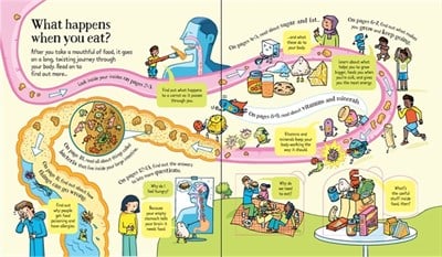 Usborne Look Inside What Happens When You Eat