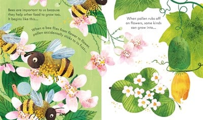 Usborne Peep Inside a Beehive