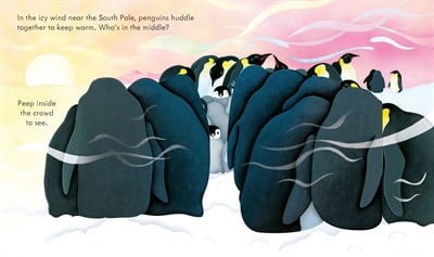 Usborne Peep Inside Snowy Places