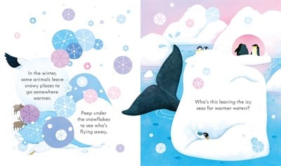 Usborne Peep Inside Snowy Places