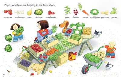 Usborne Poppy and Sam's First Word Book