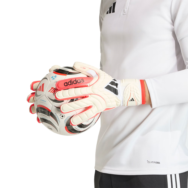 COPA GL LGE