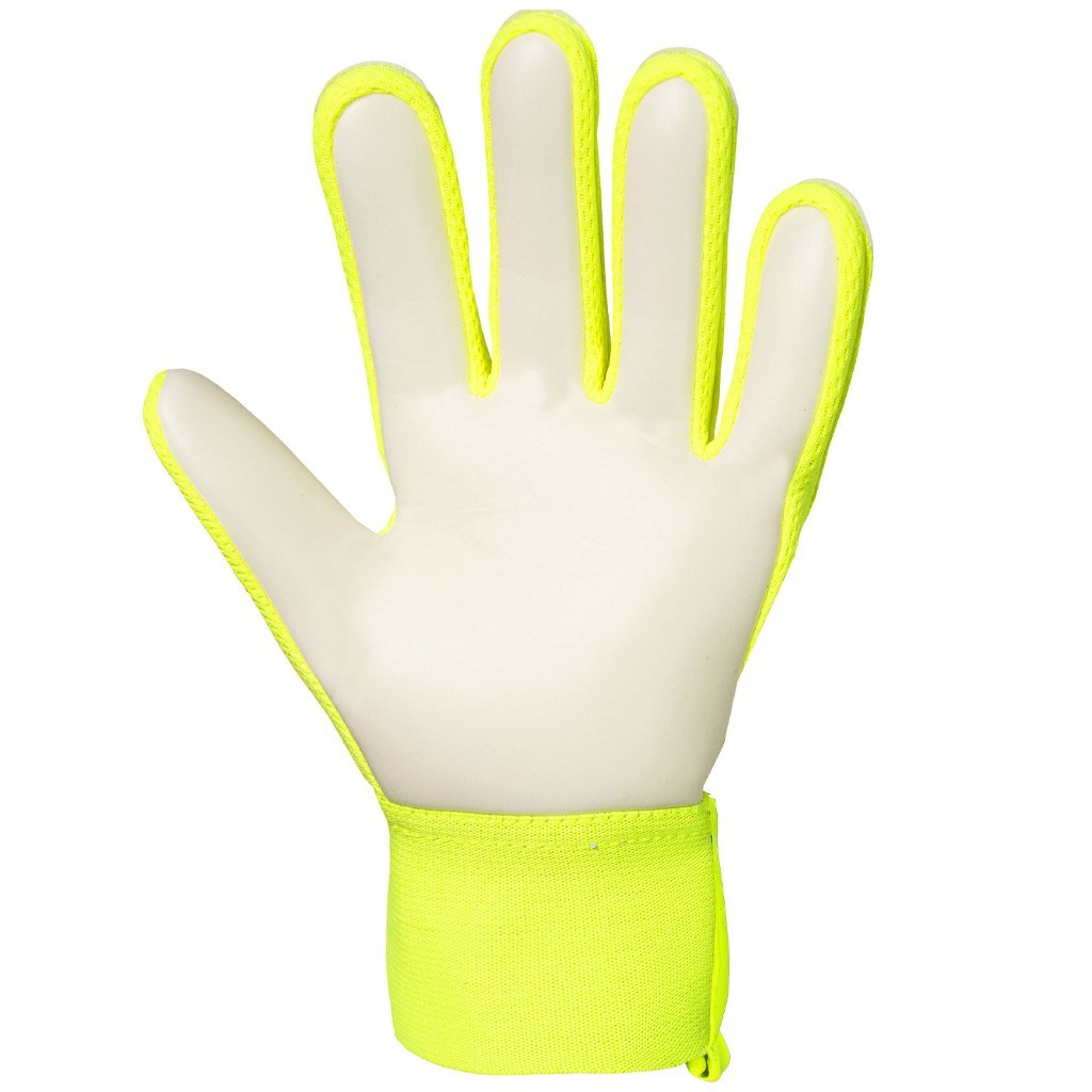 REUSCH ATTRAKT STARTER SOLID