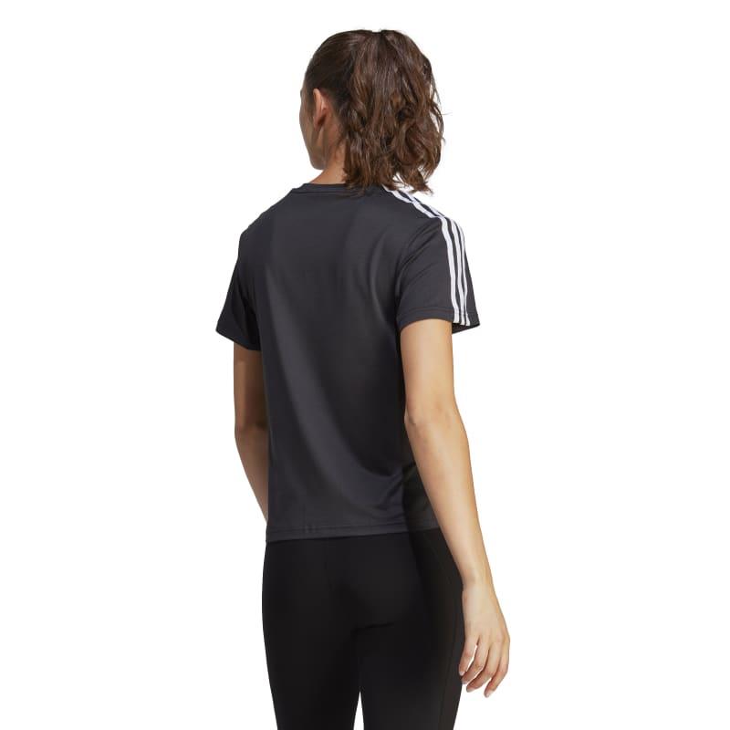 aeroready train essentials