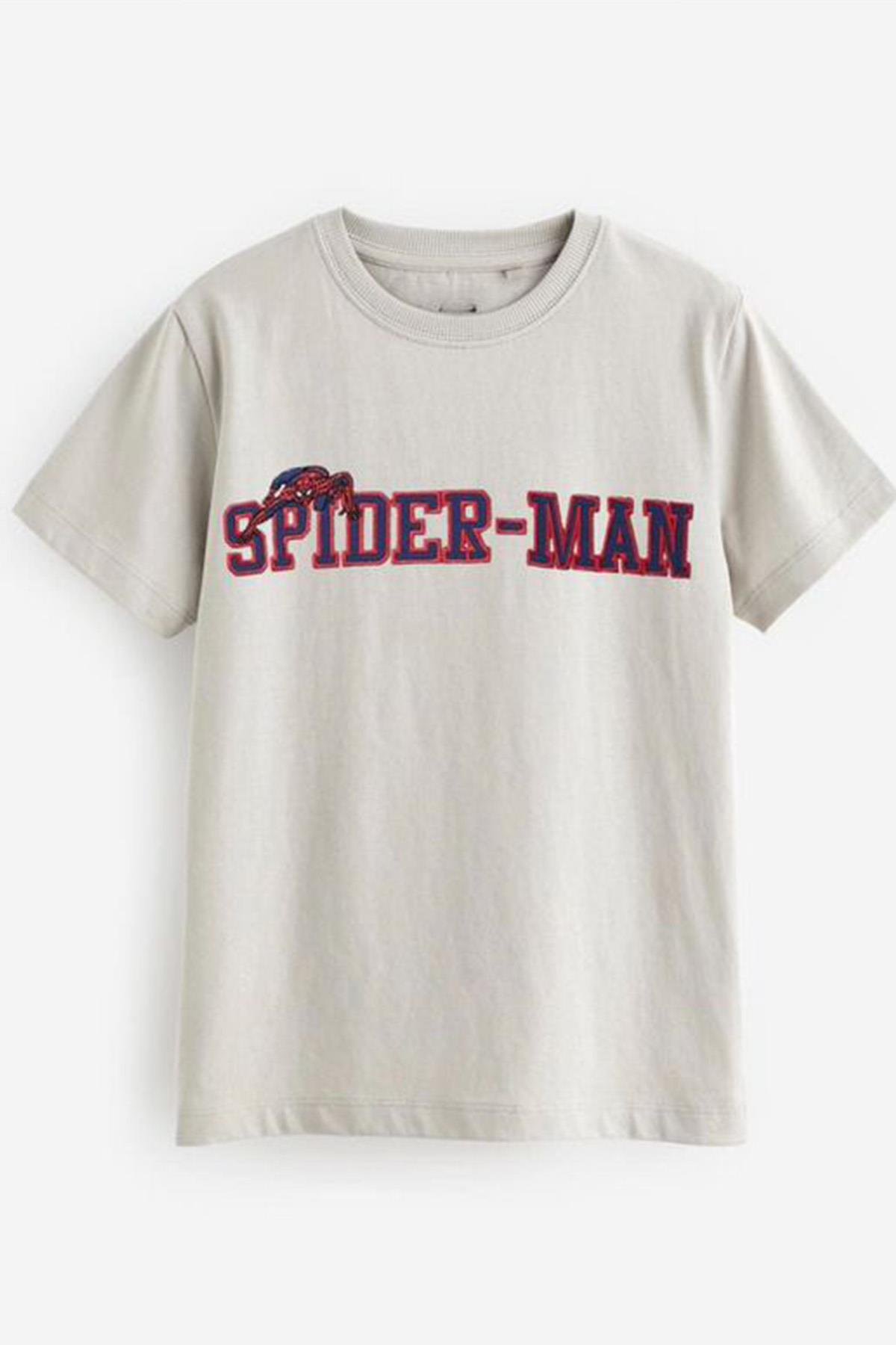 Spiderman Tshirt Gri