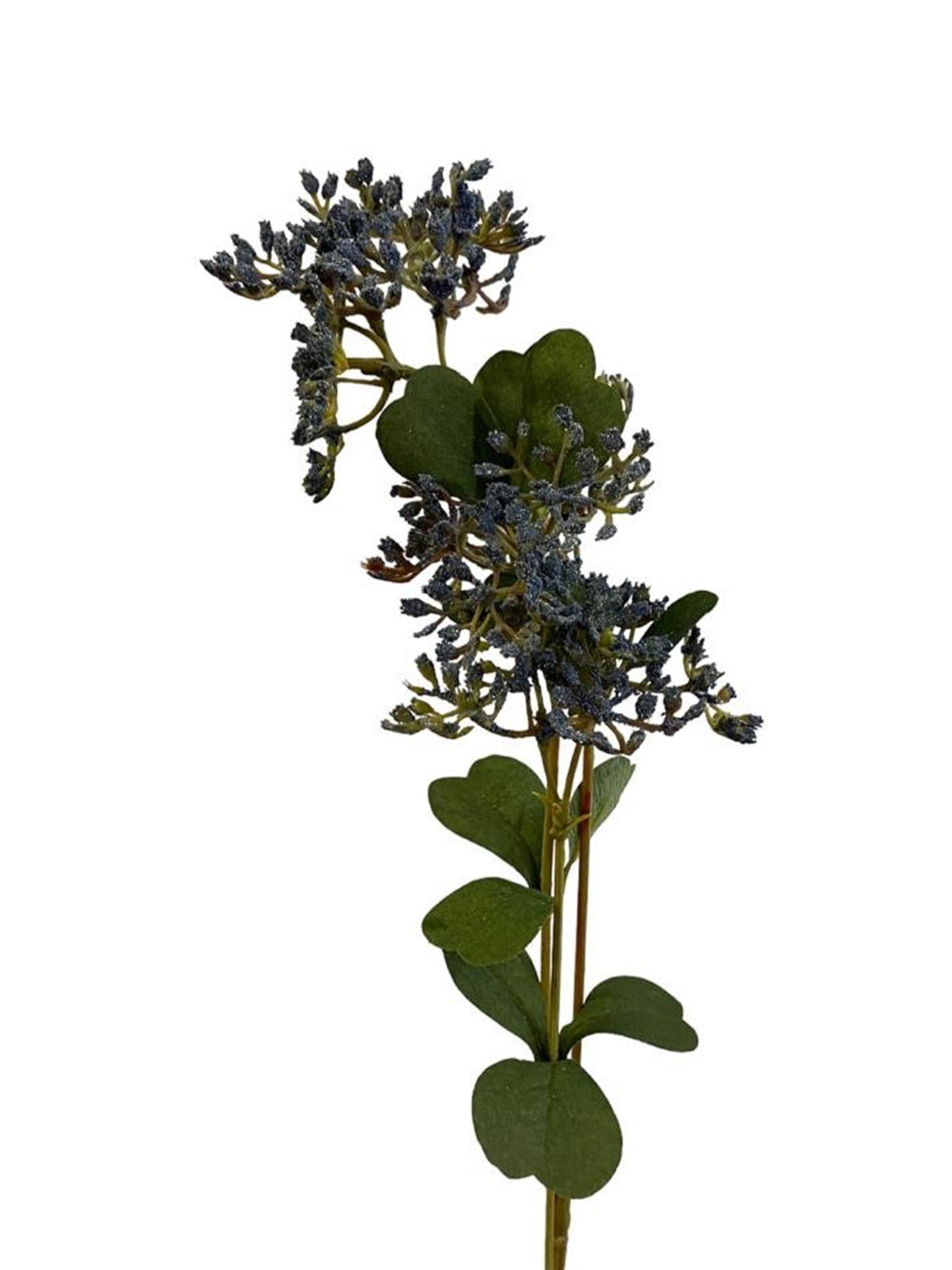 Kuk Tekdal Cipso (Blue)