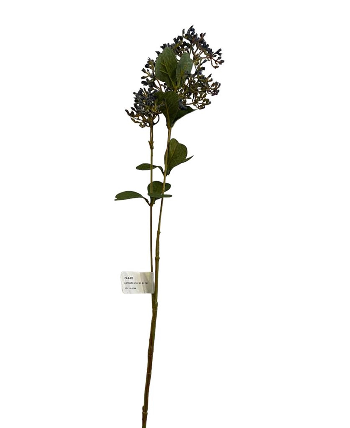 Kuk Tekdal Cipso (Blue)