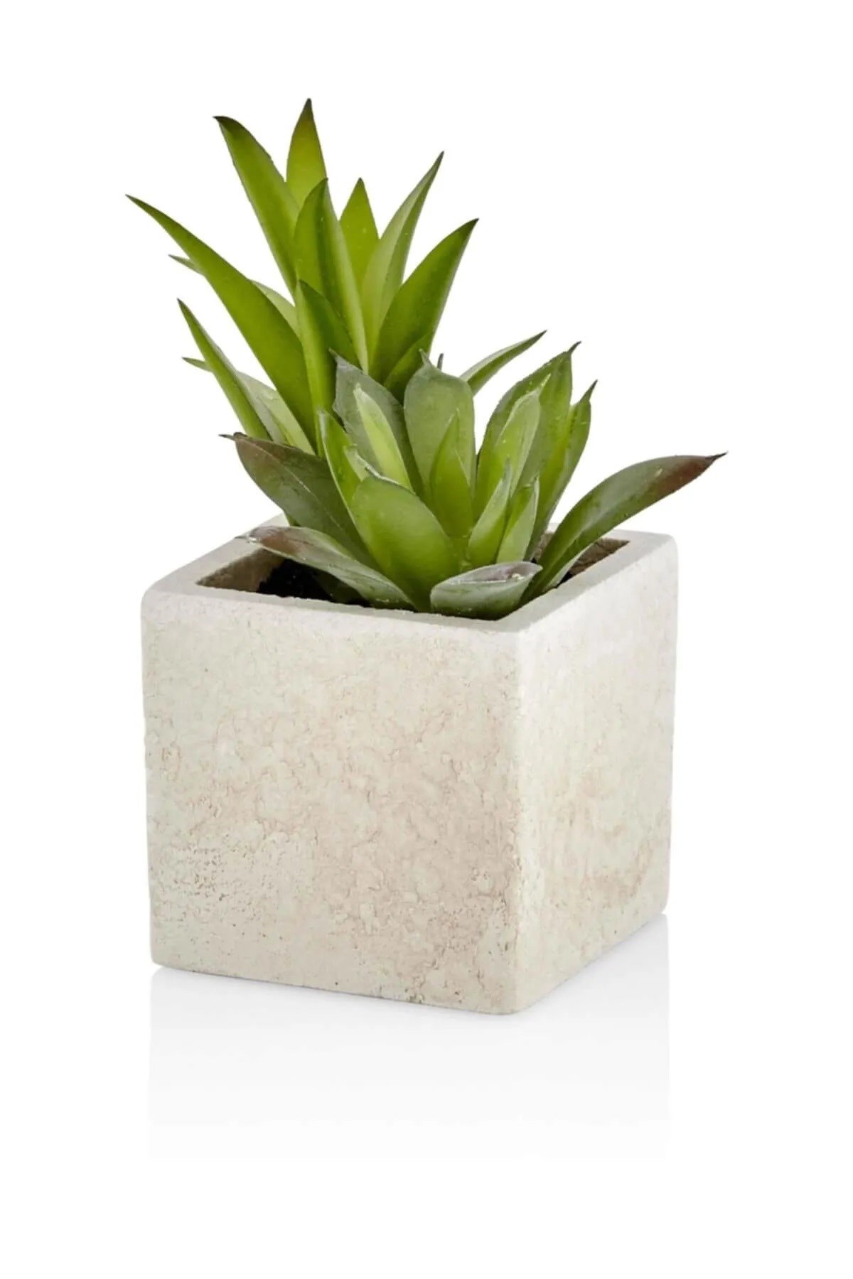 Mia Yapay Sukulent Beton Saksı Kare 5*5*5 Cm