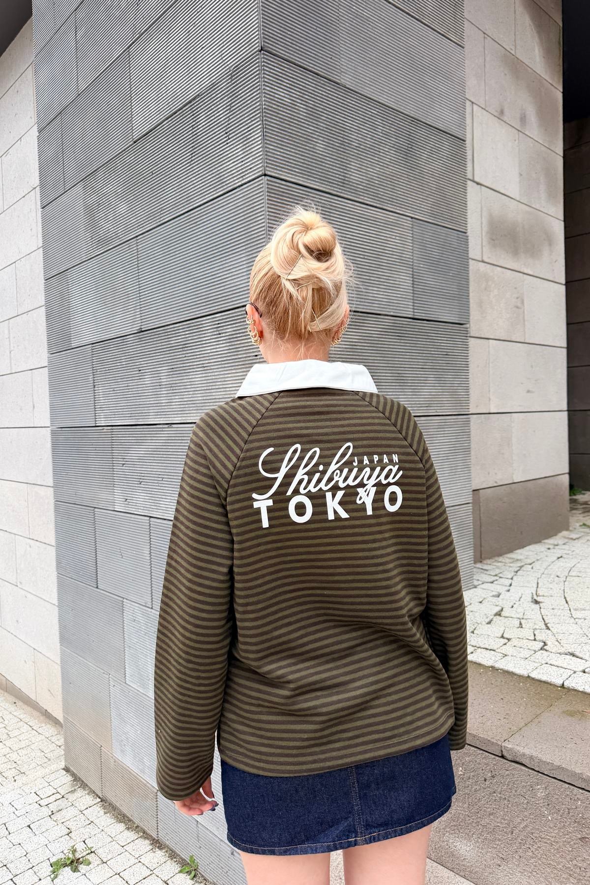 POLO YAKA ÇİZGİ VE NAKIŞ DETAY SWEAT