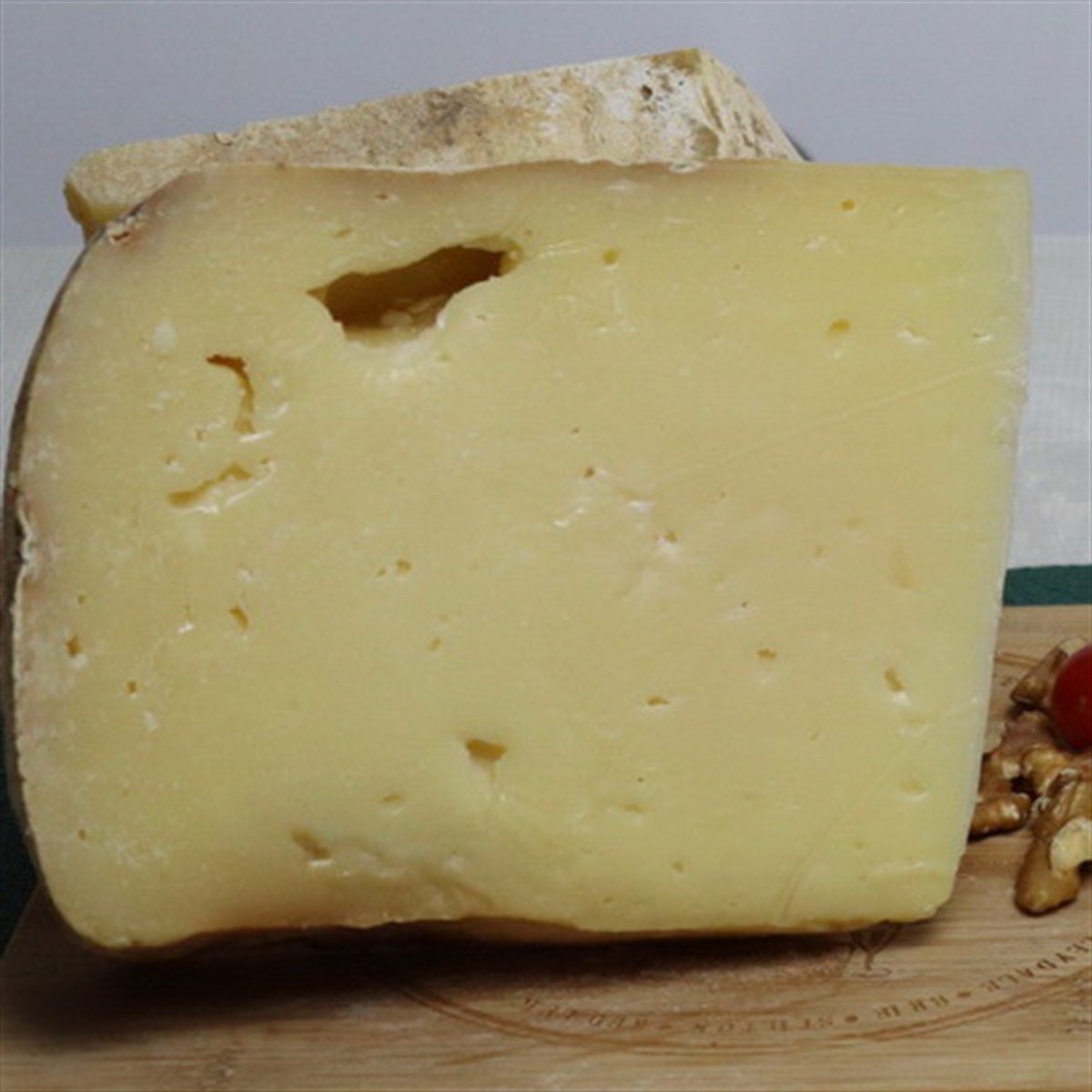 TRAKYA KOYUN KAŞARI