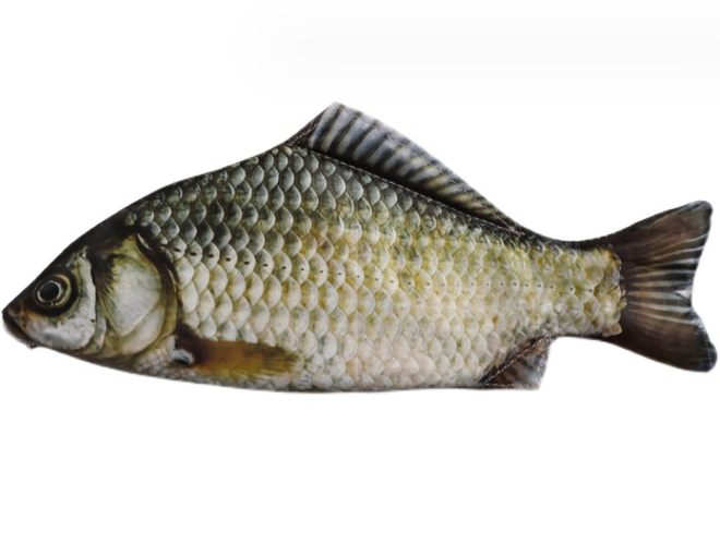 Crucian Sazan balığı Kalem Kutusu