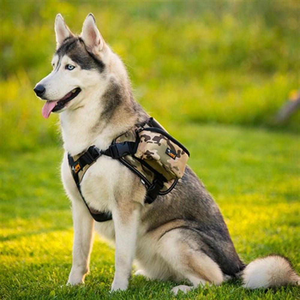 Ondoing Köpek Sırt Çantası Ayarlanabilir Kendinden Eyer Çanta