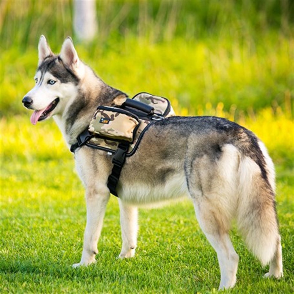 Ondoing Köpek Sırt Çantası Ayarlanabilir Kendinden Eyer Çanta