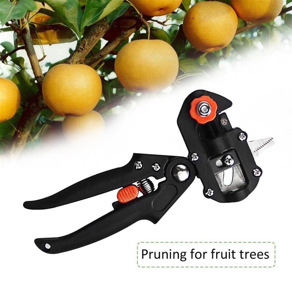 Profesyonel Ağaç Budama Aşılama Kesme Seti