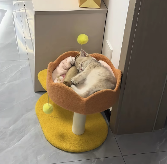 Tcherchi Honey Bee Kedi Tırmalama Pedli Kedi Yatağı