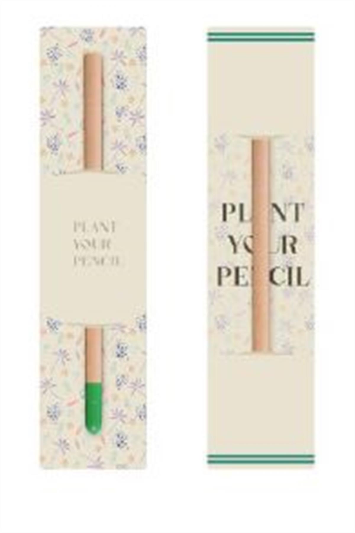 Tcherchi Kadın İlkokul Ortaokul Okul Seti Çanta Suluk Kalem Silgi Geometri Seti