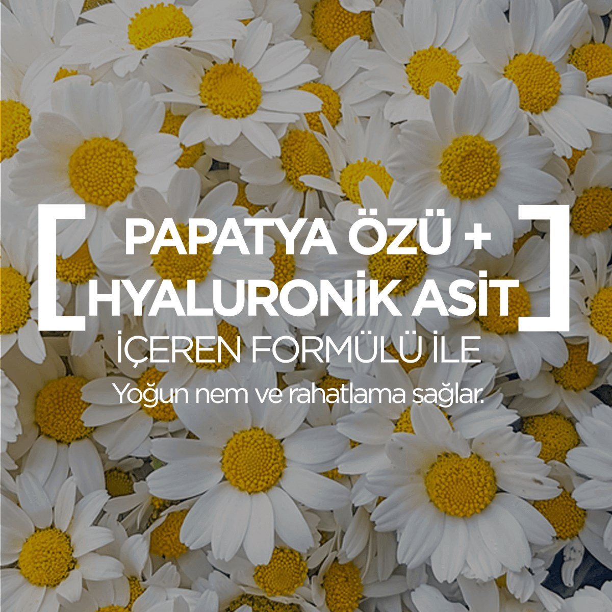 Garnier Nem Bombası Kağıt Maske Papatya Özü