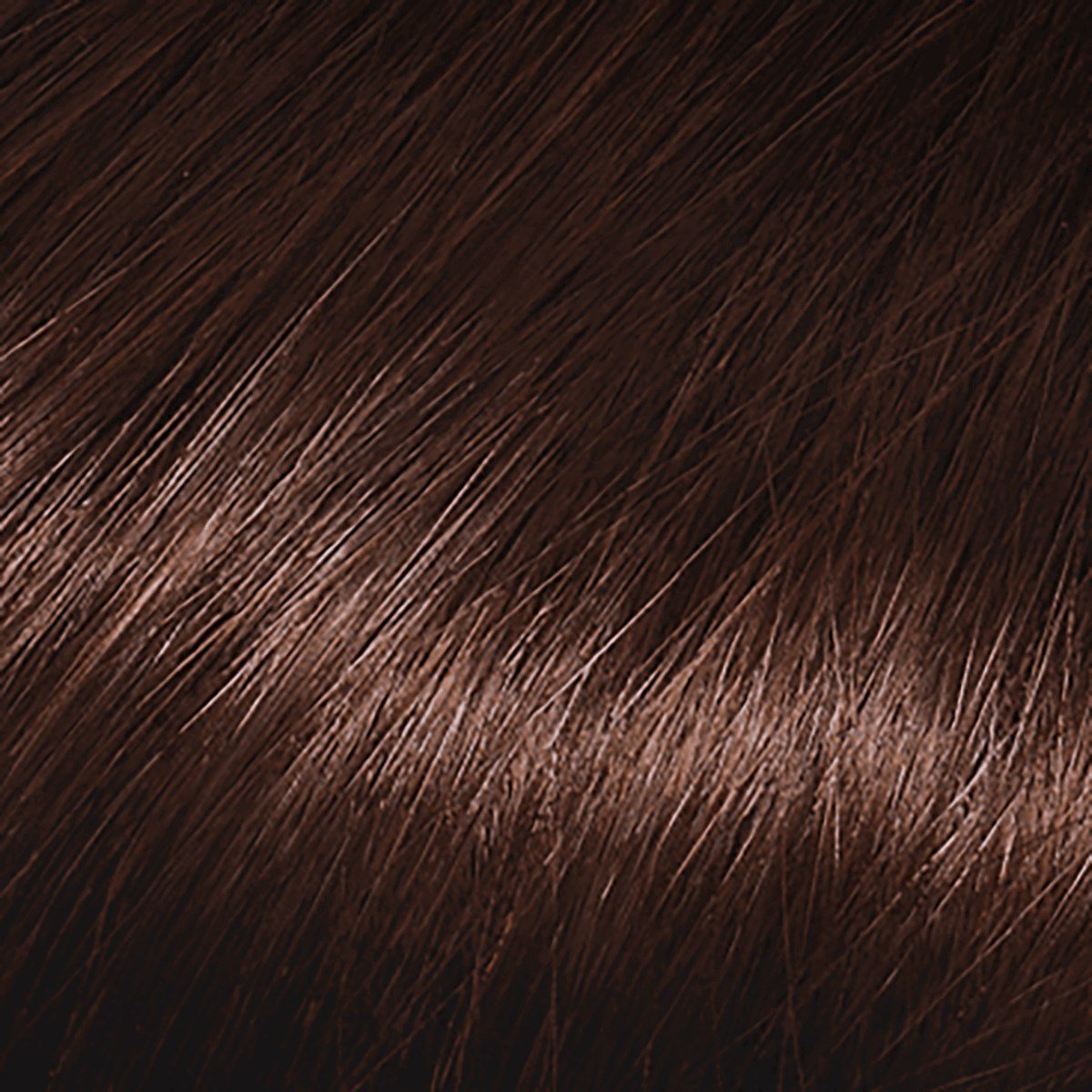 L'Oreal Paris Casting Amonyaksız Besleyici Saç Boyası Bitter Çikolata 323