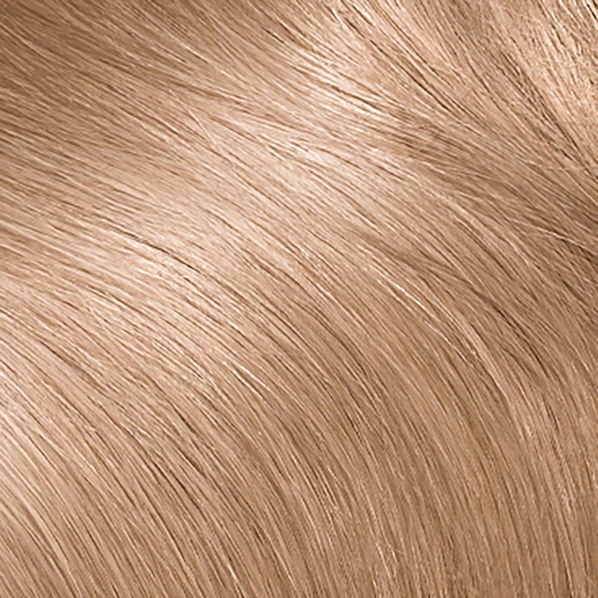 L'Oreal Paris Casting Amonyaksız Besleyici Saç Boyası Parlak Küllü Sarı 810