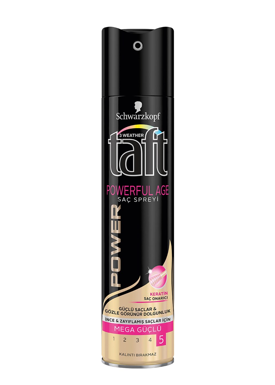 Taft Powerful Age Sprey 250 ml