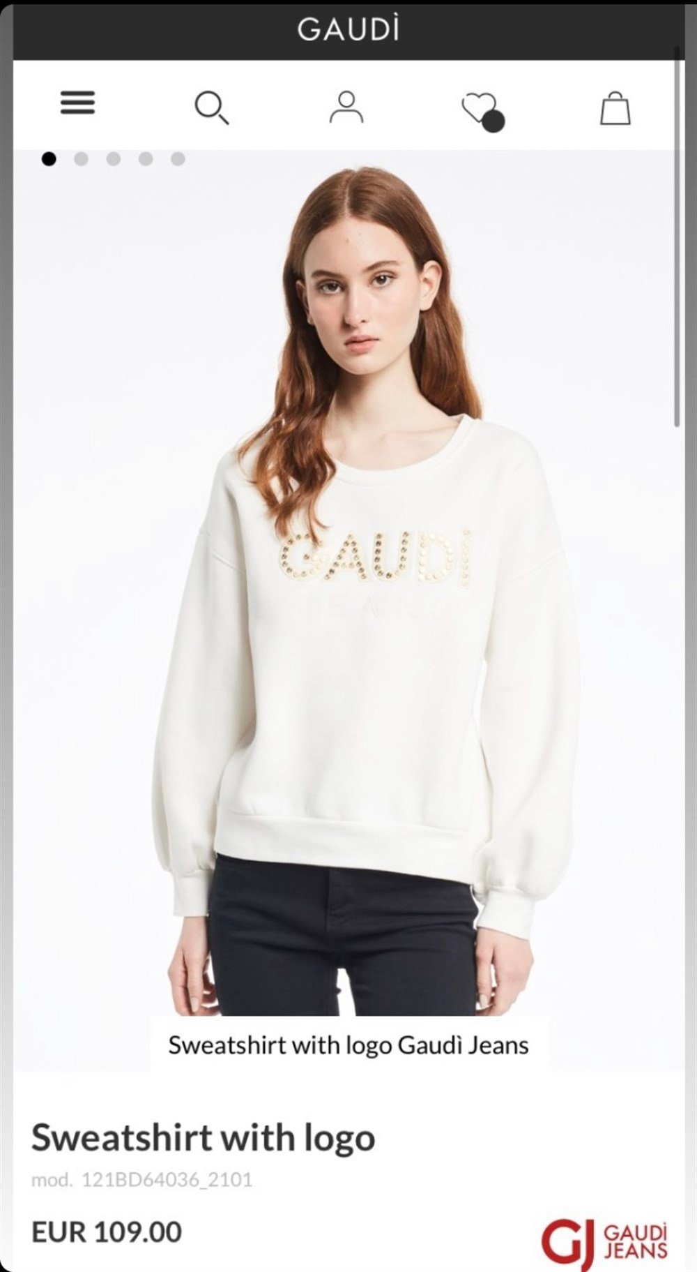 Gaudi sweatshirt 