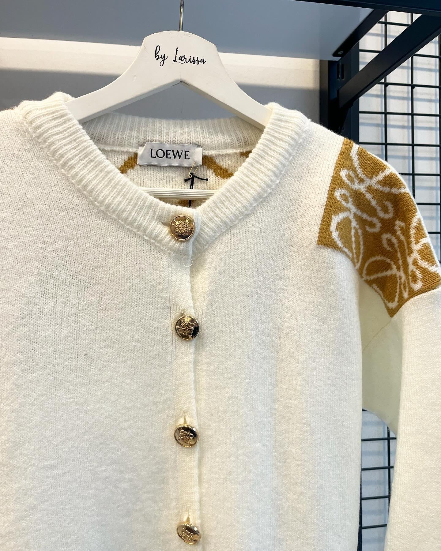 Loewe Cardigan Sweaters