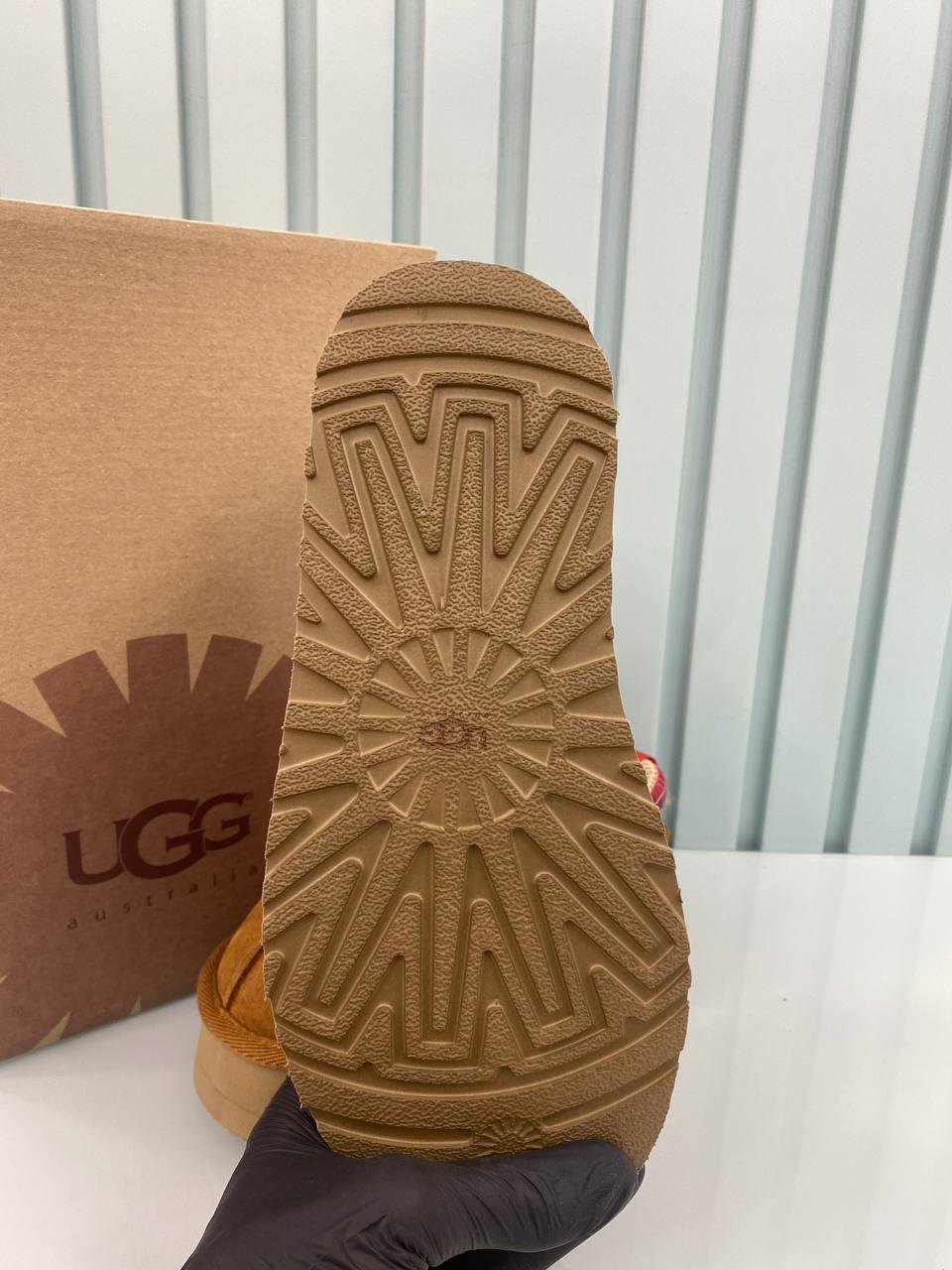 UGG TAZZ TABA