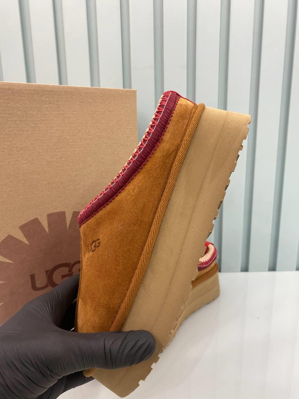 UGG TAZZ TABA