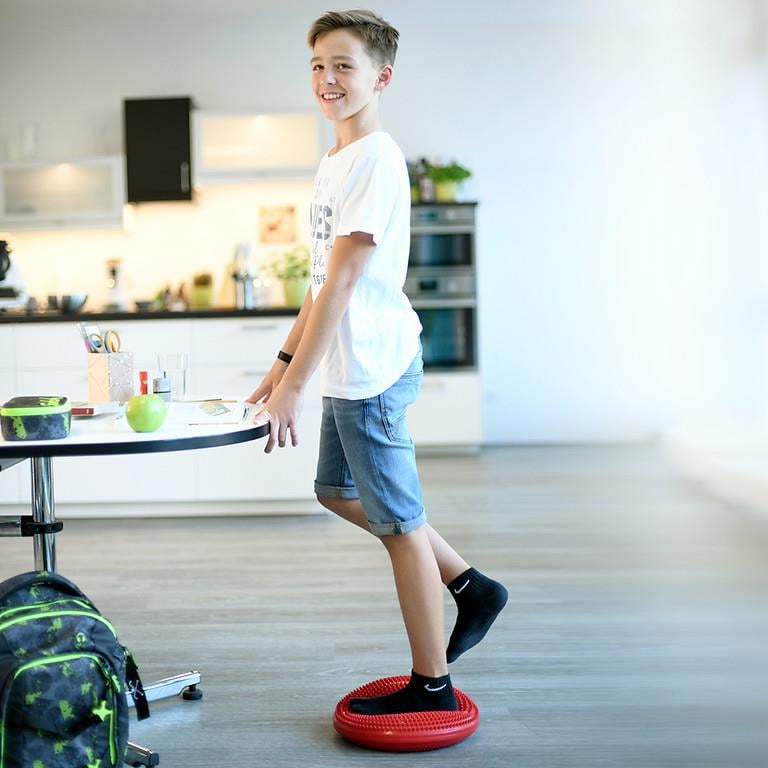 Sissel® Balancefit Denge Pedi