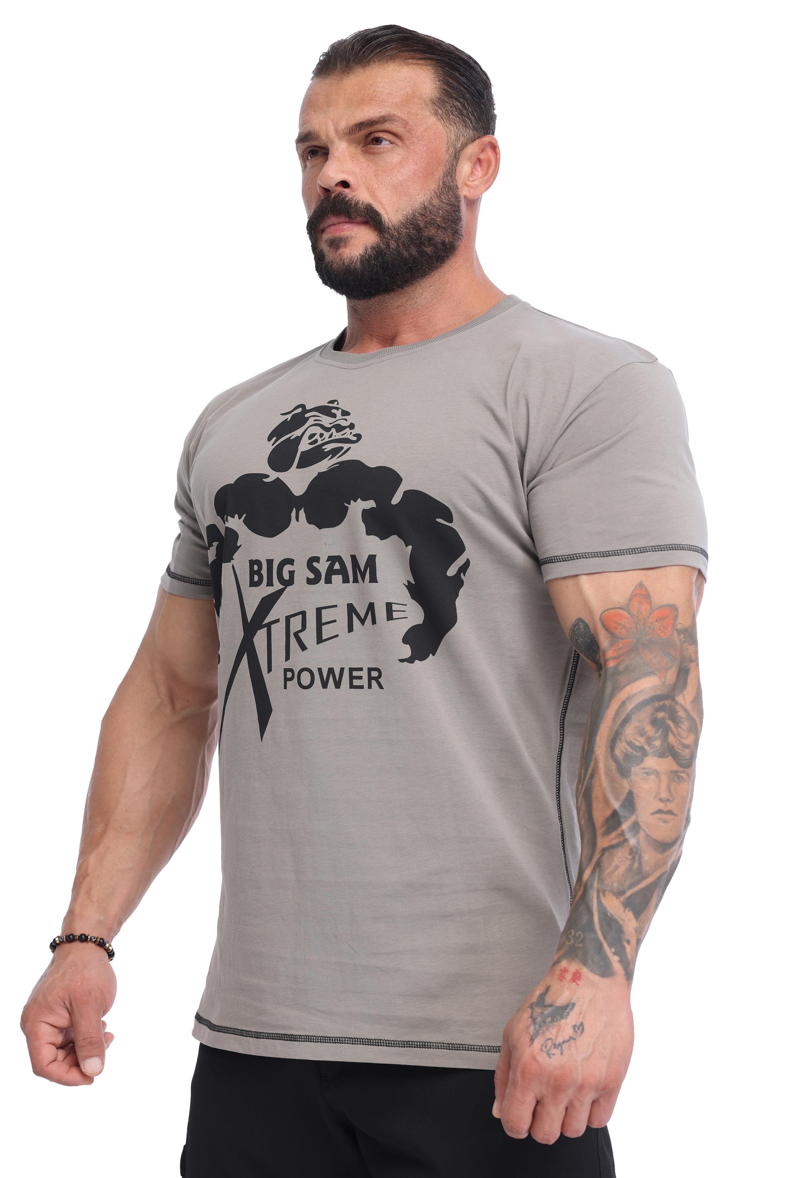 Erkek %100 Pamuk Regular Fit Desert Tişört Big Sam 2851