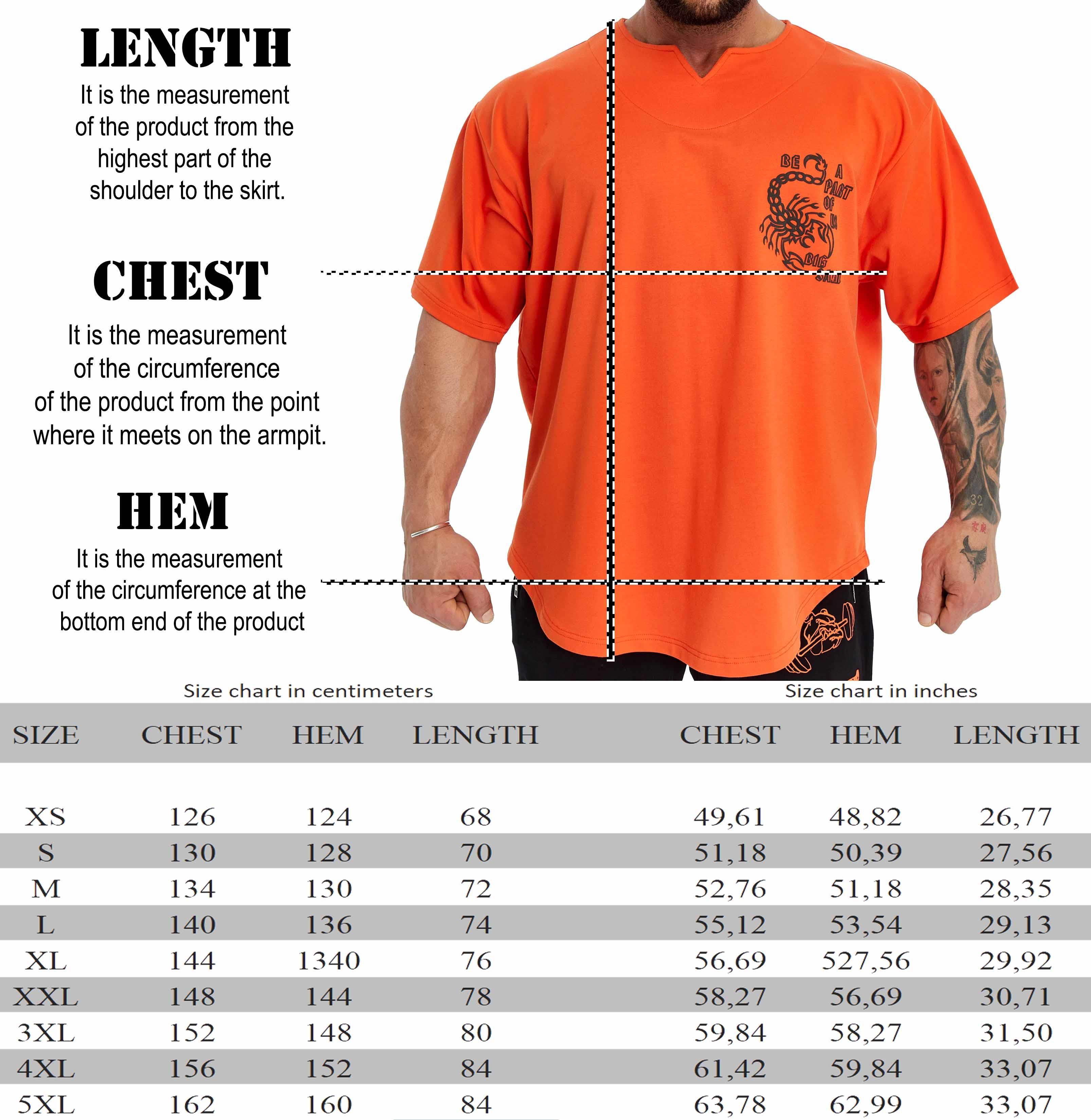 OversizeT-shirt Scorpion Rag Top Big Sam 3381