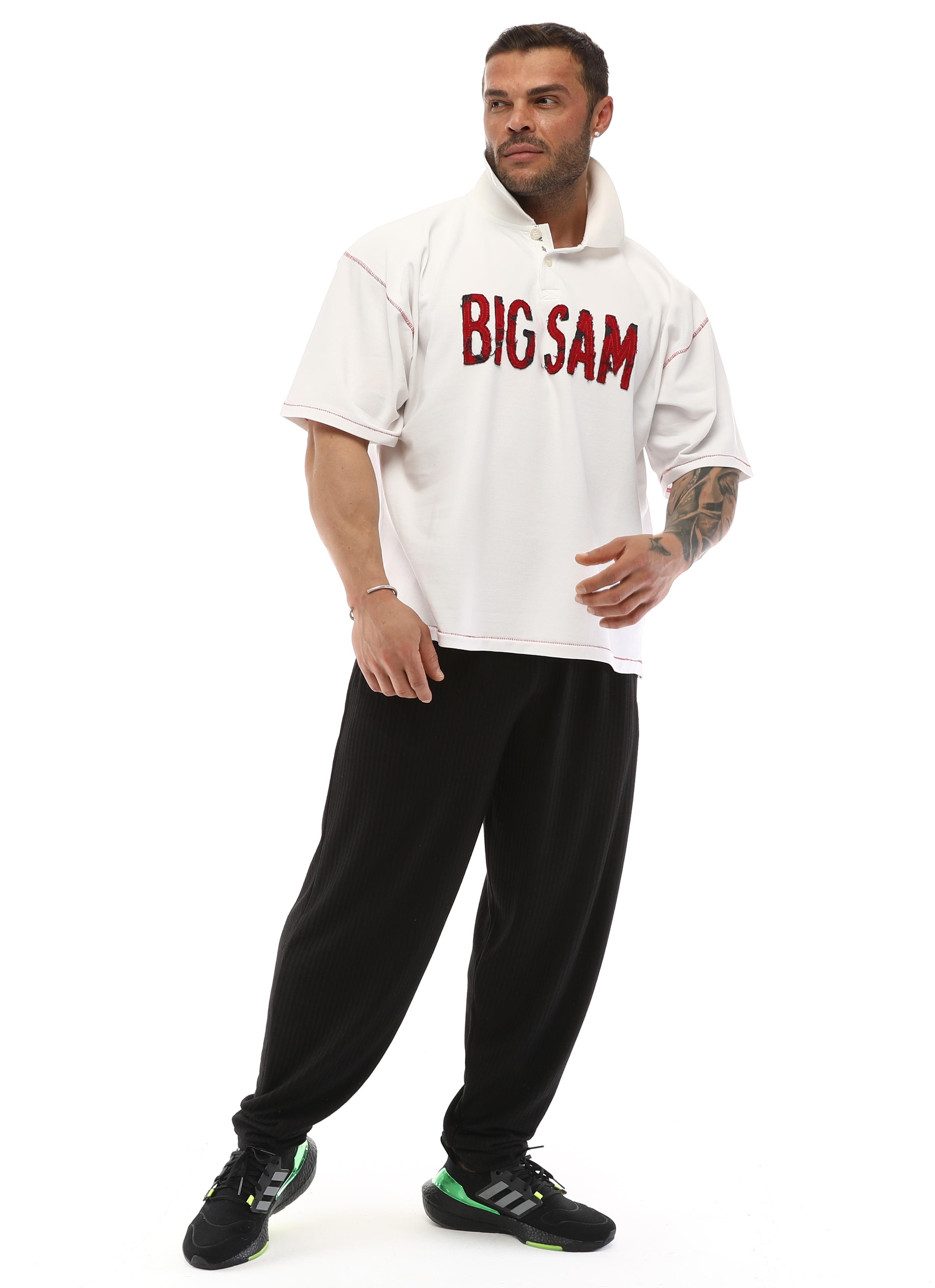 Polo Yaka Pamuklu Tişört Big Sam 2613