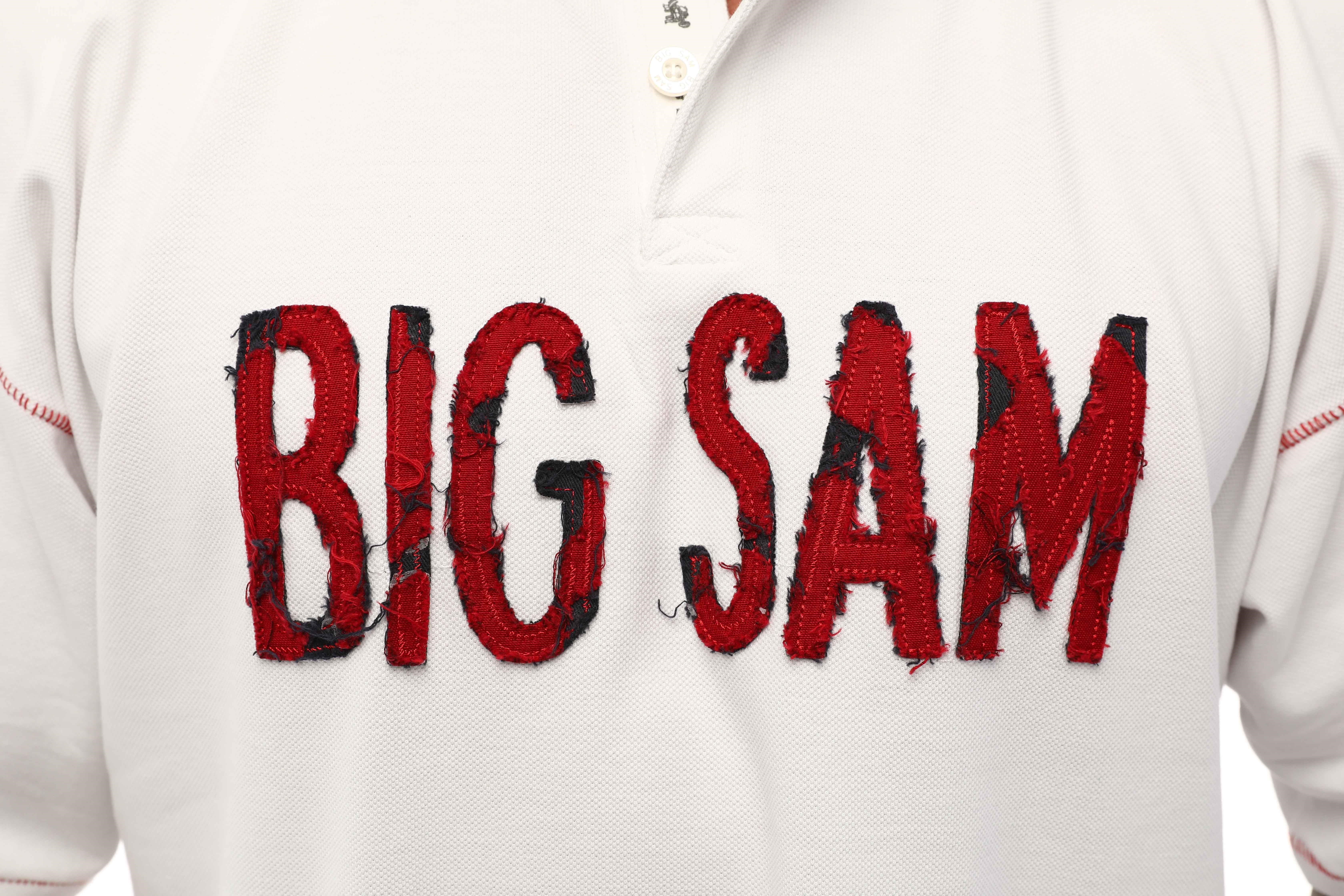 Polo Yaka Pamuklu Tişört Big Sam 2613