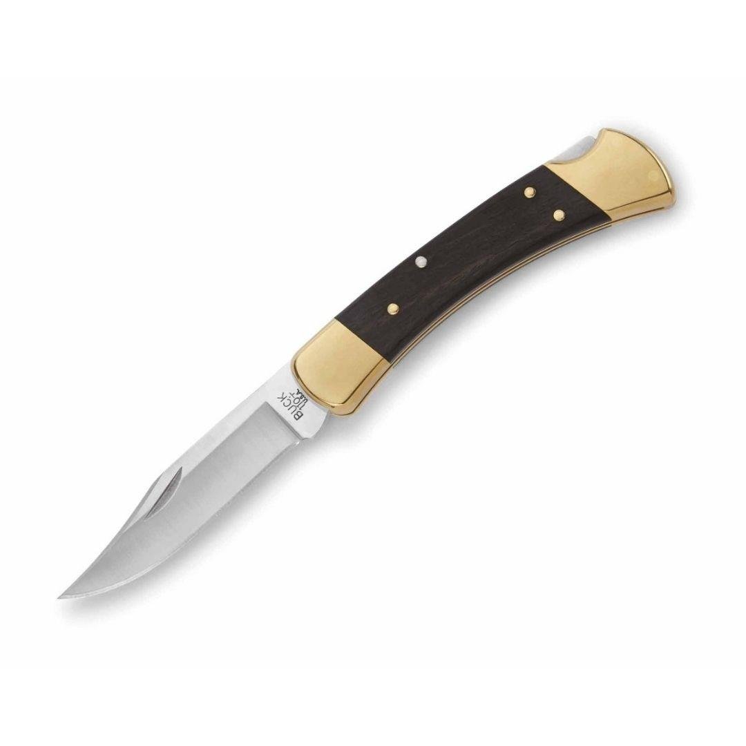 Buck 110 Folding Hunter Plain Çakı