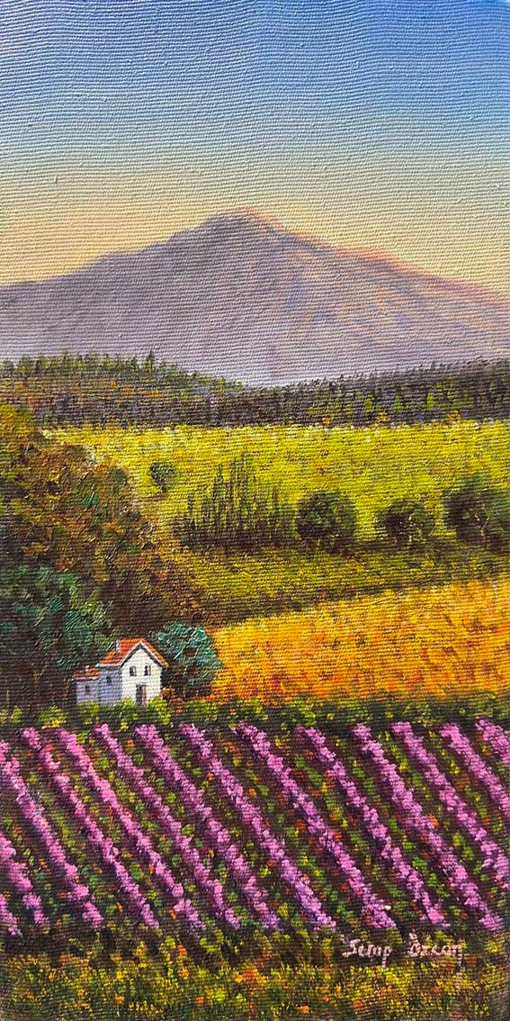 Doğayla Baş Başa